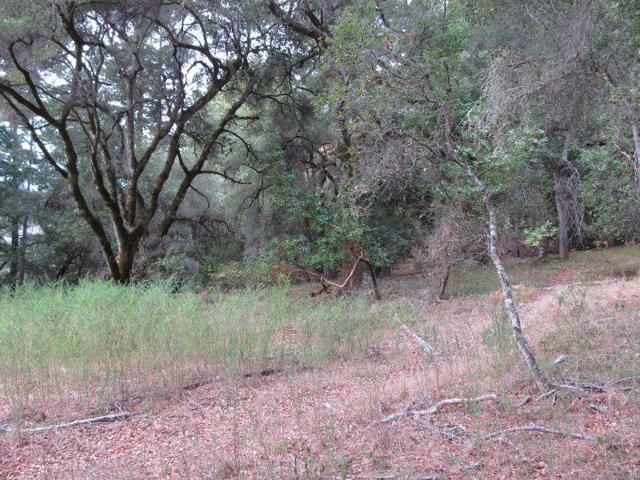 0 E Hilton, Boulder Creek CA: https://media.crmls.org/mediaz/f3027140-4613-4d6b-bc09-7f32e8e79ae0.jpg