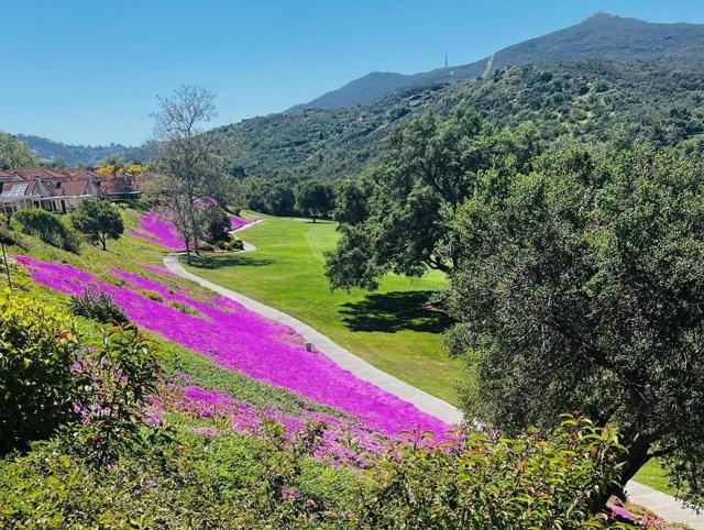 Detail Gallery Image 1 of 1 For 29158 Laurel Valley Dr, Vista,  CA 92084 - 2 Beds | 2/1 Baths