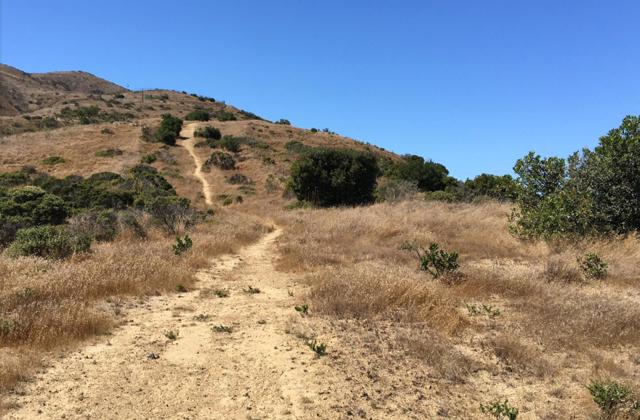 0 Bayshore, Brisbane CA: https://media.crmls.org/mediaz/f30cf175-c38a-4ed1-8109-b760e217ed75.jpg