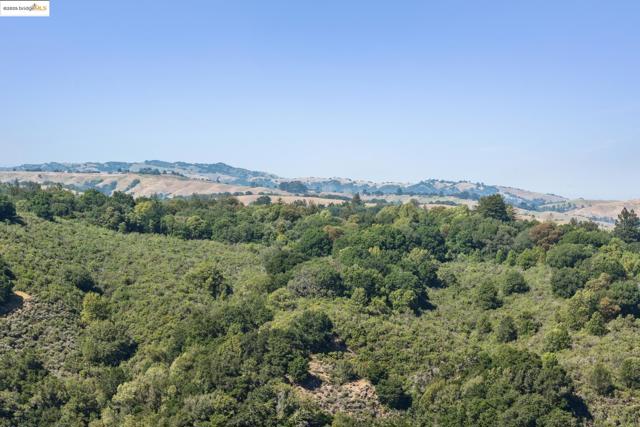 12688 Brookpark Road, Oakland CA: https://media.crmls.org/mediaz/f313e705-6fdd-4da1-922e-fbb991910269.jpg