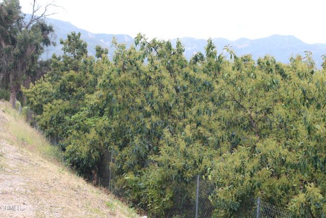 Detail Gallery Image 3 of 33 For 0 Camulos St, Piru,  CA 93040 - – Beds | – Baths