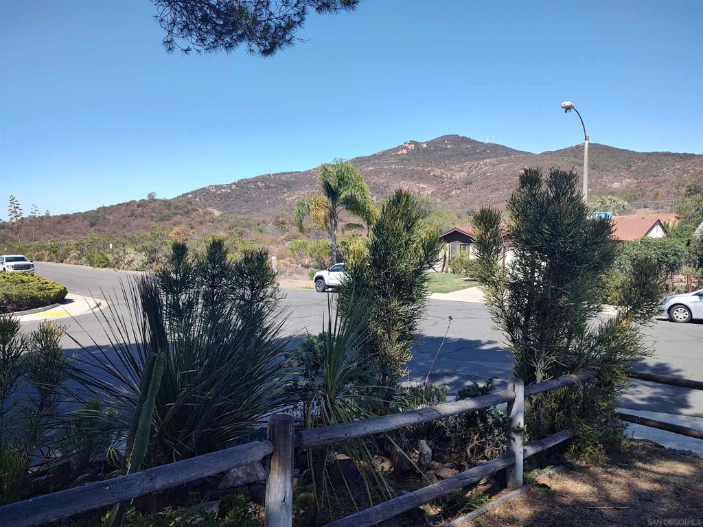 MLS #250034913SD image #42