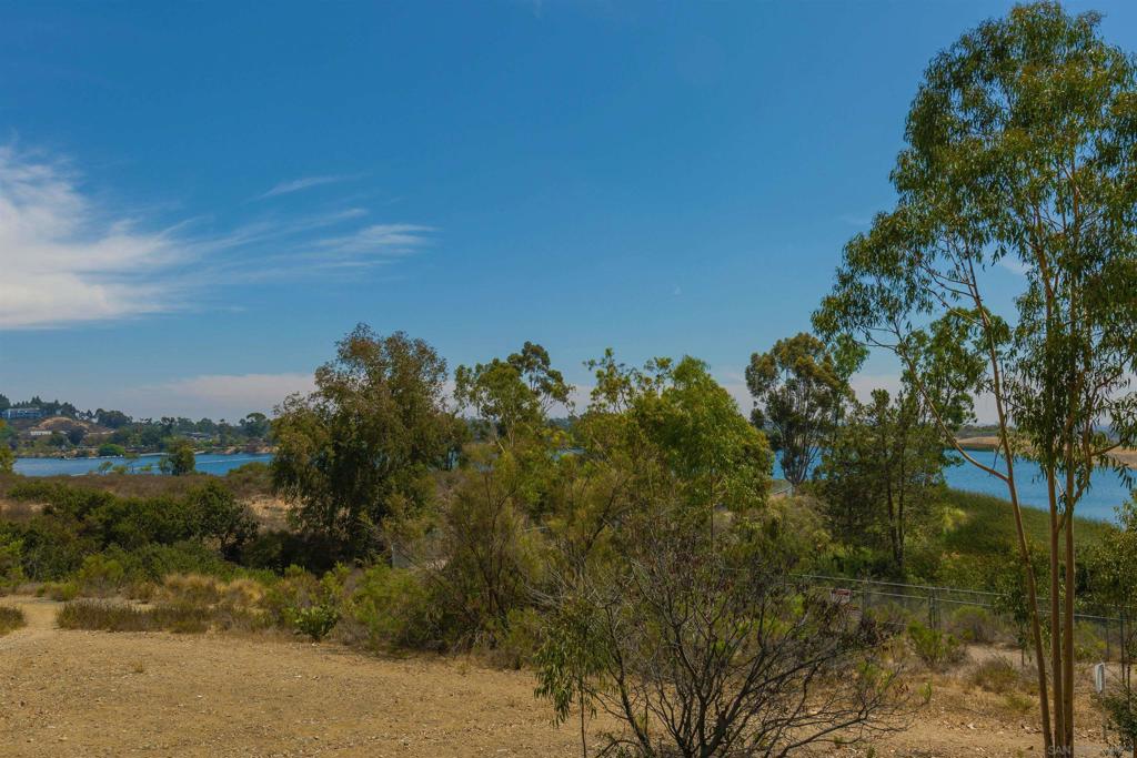 MLS #250031714SD img 42