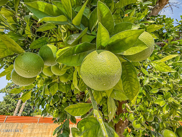 7530 Gaviota Avenue, Lake Balboa CA: https://media.crmls.org/mediaz/f3401ee5-fd62-4a54-965b-b8755fcd0ffd.jpg