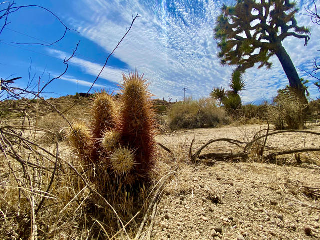104 Bandera Road, Yucca Valley CA: https://media.crmls.org/mediaz/f350ff42-cd47-44b1-bec0-0c4a8fa79862.jpg