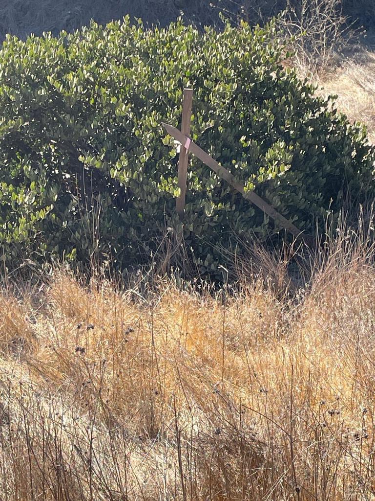 MLS #PTP2407091 image #12