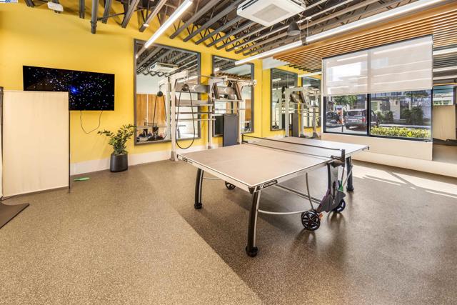 Ping Pong