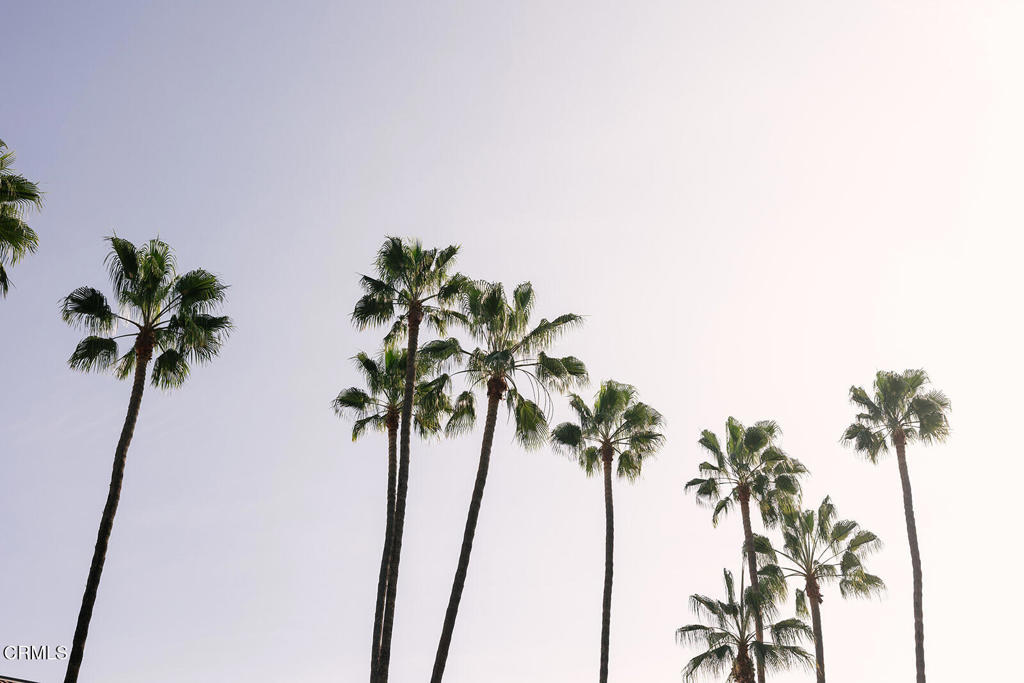 https://media.crmls.org/mediaz/f369dc58-c5b5-4bc1-80e3-9dc3913c73f0.jpg?preset=X-Large