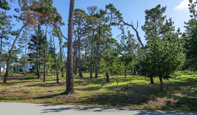 25 Poppy Lane, Pebble Beach CA: https://media.crmls.org/mediaz/f36b7a5e-30f9-4728-a017-9e8d1dc522bd.jpg