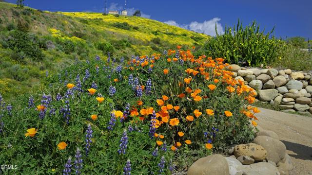 Detail Gallery Image 52 of 60 For 2860 Wagon Wheel Road Rd #202,  Oxnard,  CA 93036 - 3 Beds | 2/1 Baths