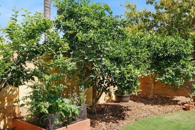 5655 Lone Star Dr, San Diego CA: https://media.crmls.org/mediaz/f36cfc2d-0641-40e7-95fb-daf303f5860b.jpg