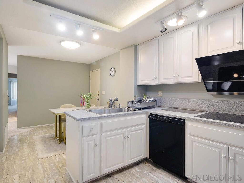 MLS #250019710SD img 10