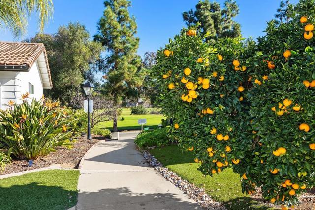 12039 Caminito Cadena, San Diego CA: https://media.crmls.org/mediaz/f3773629-a827-4e48-a63a-3f4347667ec5.jpg