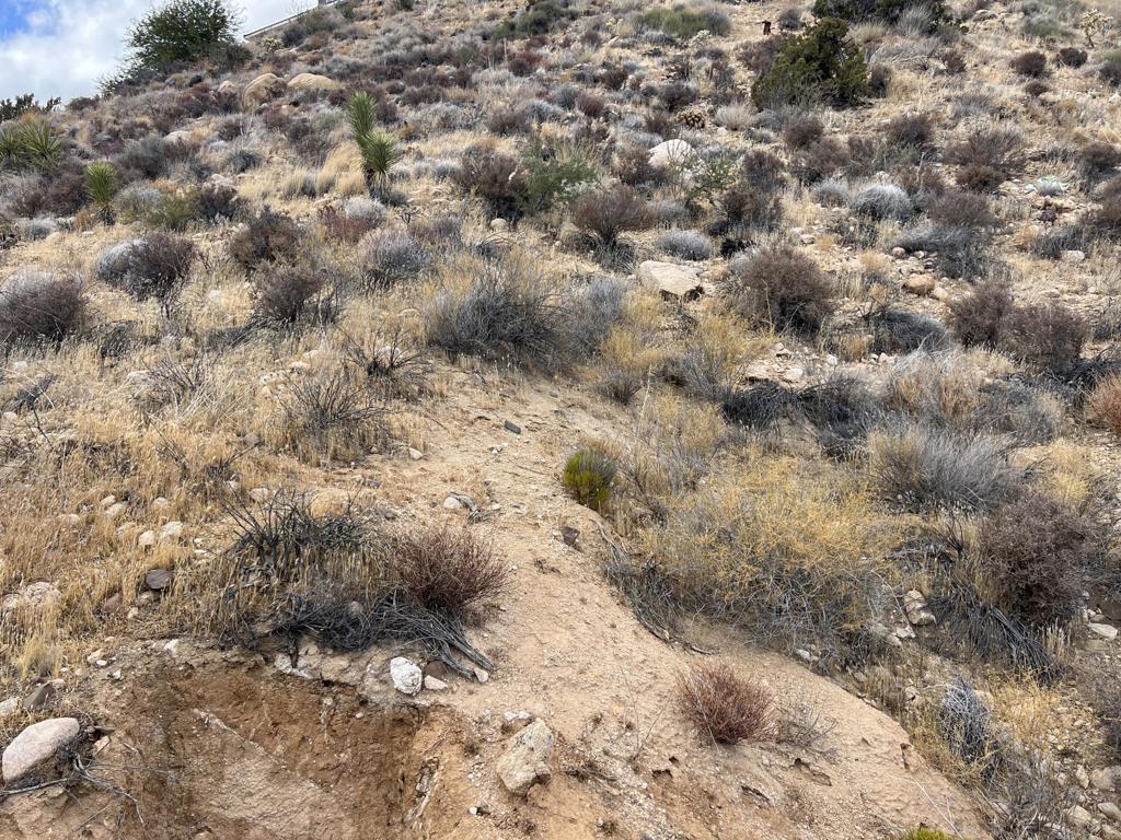 MLS #219138996DA image #16