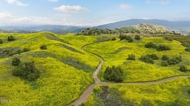 0 Dickenson Road, Santa Paula CA: https://media.crmls.org/mediaz/f37ce87a-ea92-43e5-a1b7-22c942151b0d.jpg