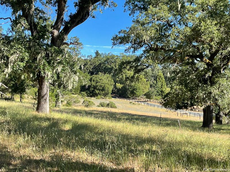 MLS #ML81896622 image #8