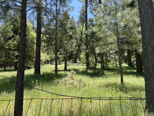 0 Tollgate Road, Idyllwild CA: https://media.crmls.org/mediaz/f38250fa-835a-4c04-bd0e-7e9e1d629044.jpg