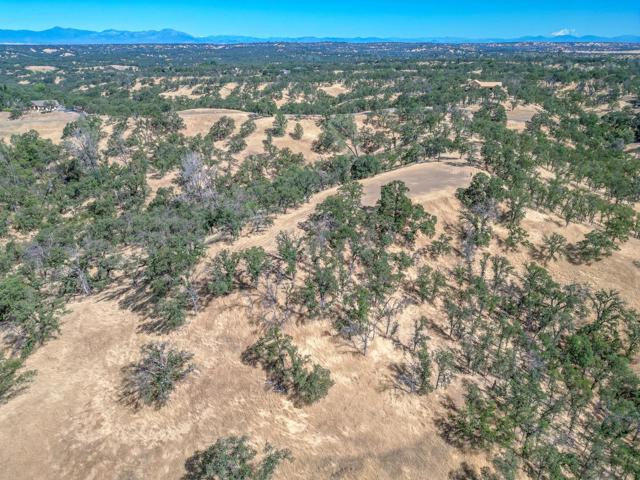 0 Wood Duck Pass Road, Red Bluff CA: https://media.crmls.org/mediaz/f390e3c6-f9e9-48e5-b587-04d28078032a.jpg