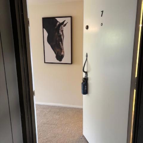 3295 La Mesa Drive #7