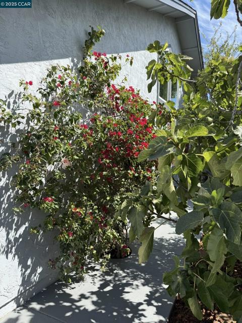 797 Orinda Ct, Fairfield CA: https://media.crmls.org/mediaz/f3aff128-fd6d-4712-88a7-7787a3ade56d.jpg