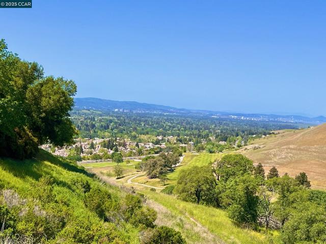 1161 Torrey Pines Place, Clayton CA: https://media.crmls.org/mediaz/f3b00ebf-782d-4e59-9c5a-4b7f9fd50ad3.jpg