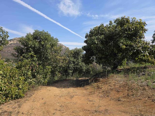 Detail Gallery Image 17 of 32 For 0 Couser Canyon Rd, Valley Center,  CA 92082 - – Beds | – Baths