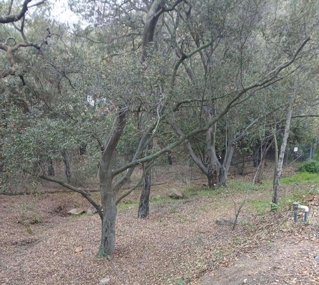 Detail Gallery Image 37 of 40 For 4747 Oak Crest Spc 87 Rd, Fallbrook,  CA 92028 - 3 Beds | 2 Baths