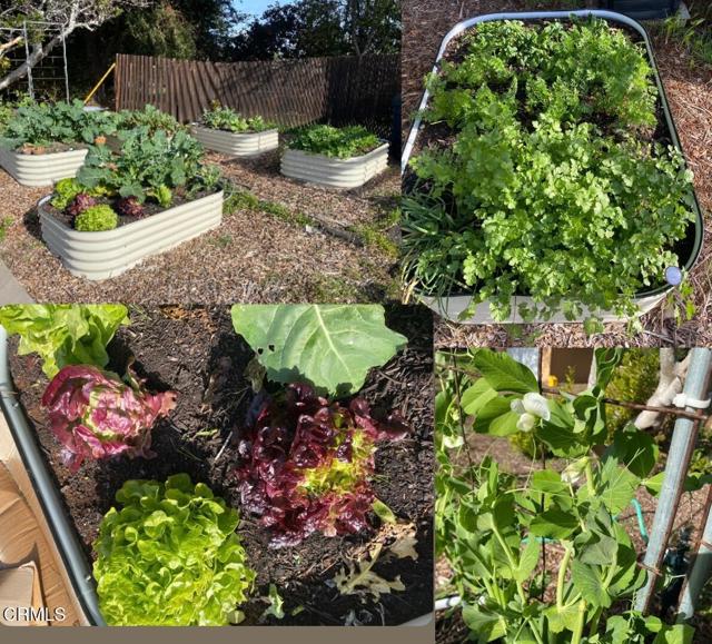 31400 Sherwood Road, Fort Bragg CA: https://media.crmls.org/mediaz/f3c7cbe5-308a-4861-bf0a-165ae36985b4.jpg