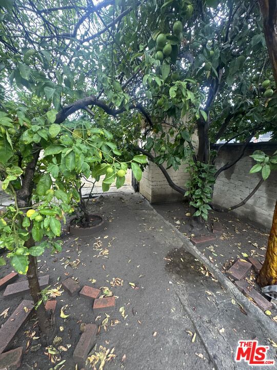 1183 W 37th Drive, Los Angeles CA: https://media.crmls.org/mediaz/f3ca9f9a-fd34-4c4e-8cd7-a77cfd828ffc.jpg