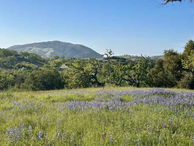 8 Touche, Carmel CA: https://media.crmls.org/mediaz/f3d378eb-fd4c-4a18-93bc-ca542147c0b9.jpg