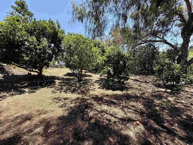 MLS #NDP2506700 image #48