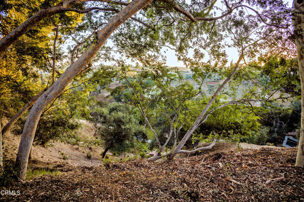 https://media.crmls.org/mediaz/f3d5c51d-8f46-41b2-a026-631a2785fb38.jpg?preset=X-Large