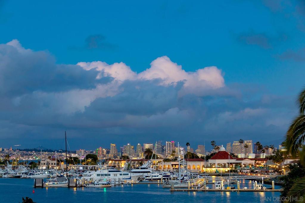 MLS #250039154SD image #31