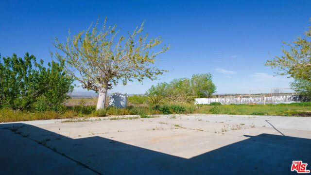 48275 224th Street, Lancaster, California 93536, 4 Bedrooms Bedrooms, ,1 BathroomBathrooms,Single Family Residence,For Sale,224th,24402895