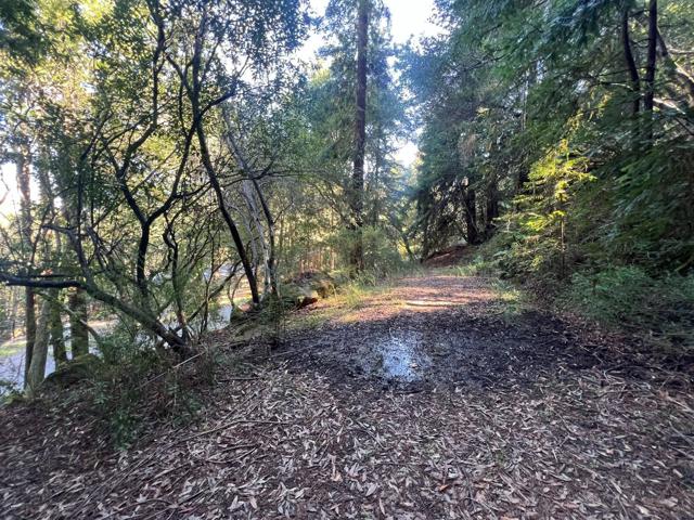 559 Patrol Road, Woodside CA: https://media.crmls.org/mediaz/f40b0431-f64f-4b01-a826-23e2284a3245.jpg