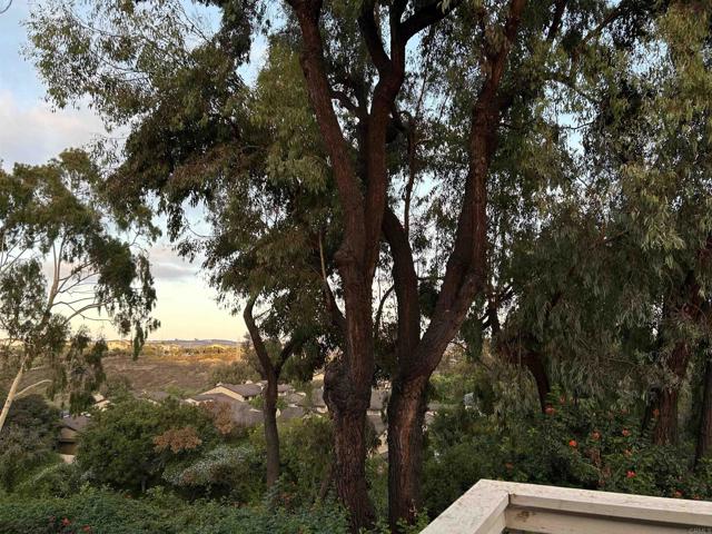 Detail Gallery Image 27 of 31 For 4670 Coralwood Cir, Carlsbad,  CA 92008 - 2 Beds | 2/1 Baths