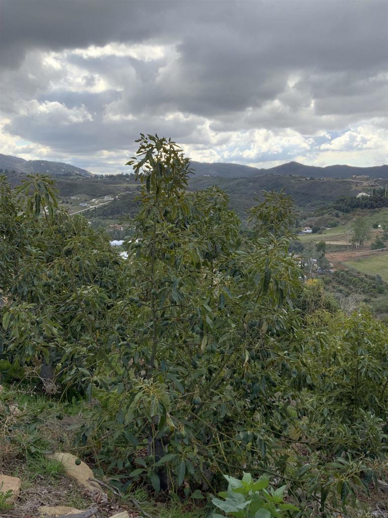 https://media.crmls.org/mediaz/f41a0727-2bbf-4b39-82c6-431c0e178f71.jpg?preset=X-Large