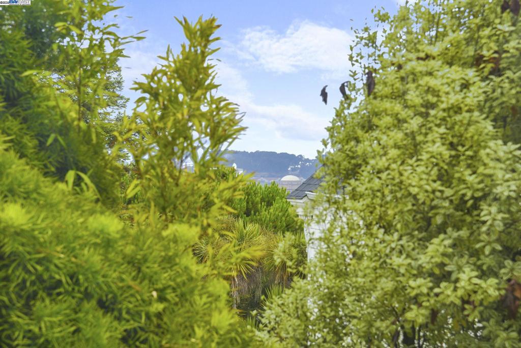 https://media.crmls.org/mediaz/f41d968e-df07-438f-b0af-43b0cde6aa44.jpg?preset=X-Large