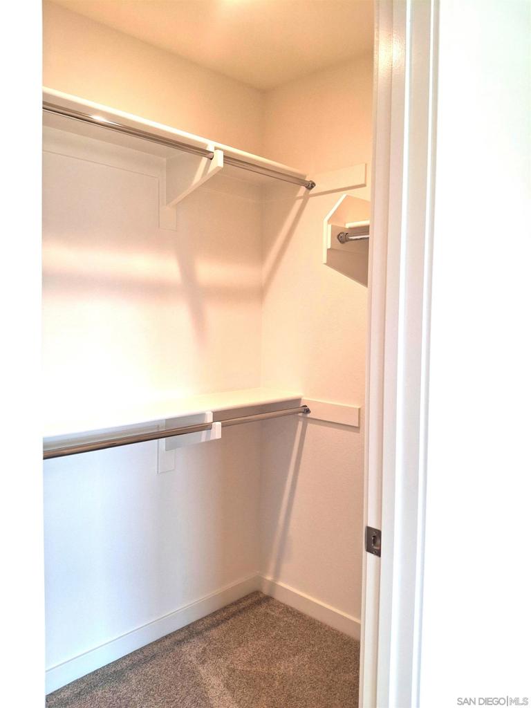 2586 Delphinium - photo 19