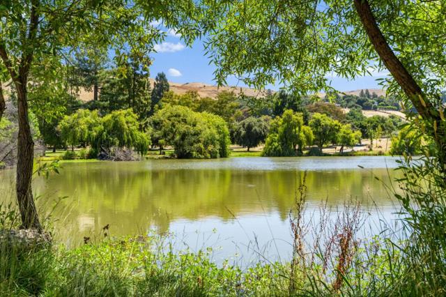 1584 Sonoma Drive, Milpitas CA: https://media.crmls.org/mediaz/f423017e-2f28-43a9-9b4d-3a1e71b58d11.jpg