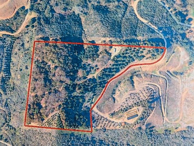 Front Image Thumbnail for CRNDP2601275