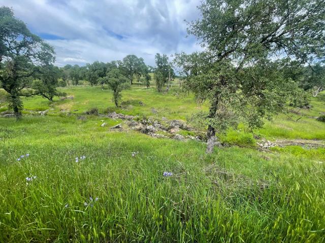 0 Avacado Road, Oroville CA: https://media.crmls.org/mediaz/f44889ad-4375-451e-9c97-18dfaf335ce0.jpg