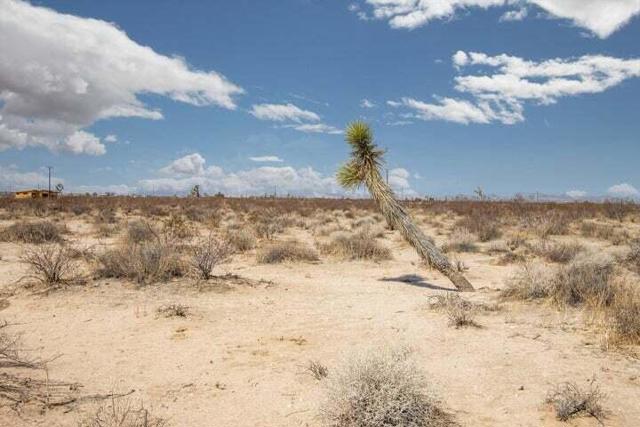 210 Kuna Avenue, Landers CA: https://media.crmls.org/mediaz/f454222e-366d-4733-a5a7-344cae3885bb.jpg