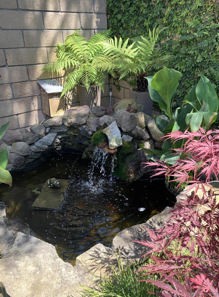 MLS #250040240SD image #10