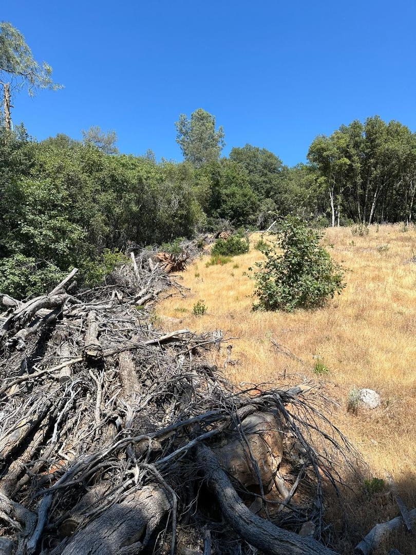 MLS #ML81974509 image #7