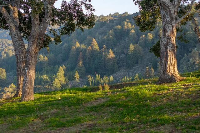 17 Rancho San Carlos Road (Lot 4), Carmel CA: https://media.crmls.org/mediaz/f4656edf-e68c-4cda-9851-a666a8975678.jpg
