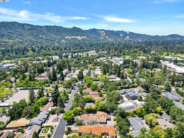 366 Ilo Ln, Danville CA: https://media.crmls.org/mediaz/f4760529-079e-4d83-8f5d-7c1a507b79a5.jpg