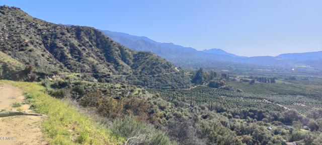 Detail Gallery Image 42 of 46 For 303 Lark Ellen Ave, Ojai,  CA 93023 - 2 Beds | 1 Baths