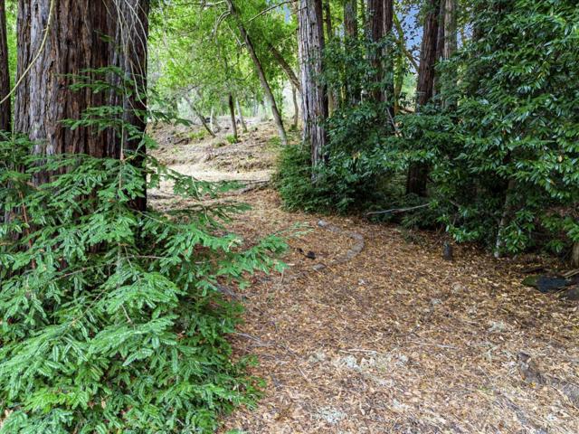 12 Montecito Road, Woodside CA: https://media.crmls.org/mediaz/f4801121-4b2a-459c-a0c9-01e575cab16a.jpg