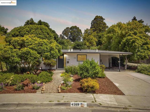 4369 Nelson DR, Richmond CA: https://media.crmls.org/mediaz/f487d2ce-75a4-4445-af13-989e175441fb.jpg